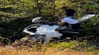 Kontrolden çıkan kamyonet ağaçlık alana uçtu