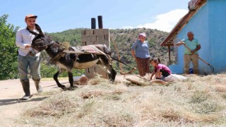 Konyada geleneksel düvenle saman üretimi sürdürülüyor