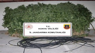 Konyada jandarmadan uyuşturucu ve silah operasyonu