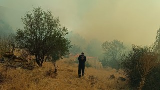 Konyada otluk alandaki yangın ormana sıçramadan söndürüldü