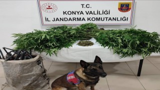 Konyada uyuşturucu tacirlerine operasyon