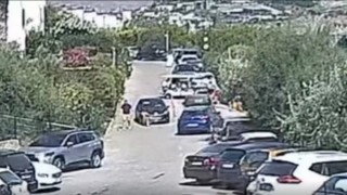 Köpeği için hukuk mücadelesi başlattı