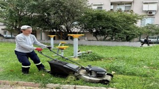 Körfezde yeşil alanların bakımı yapılıyor