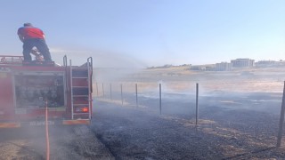 Korkutan anız yangını söndürüldü