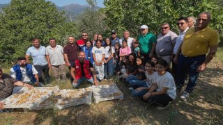 Köşkte gönüllü hasat şenliği gerçekleştirildi