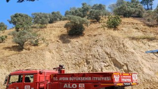 Köşkteki zirai alan yangını kontrol altına alındı