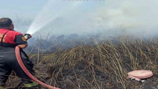 Köyceğiz sazlık yangınında soğutma çalışması yapılıyor