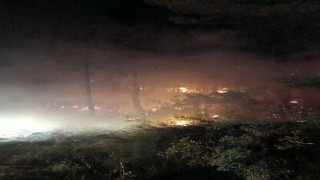 Köyceğizde Orman yangını, ekiplerin hızlı müdahalesi ile yangın kontrol altına alındı