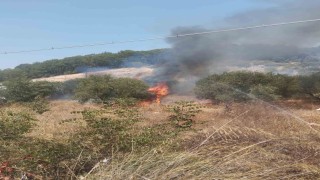 Kumlucada çıkan yangında bir dönüm zeytinlik alan yandı