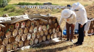Küresel ısınma arıcıları tedirgin ediyor