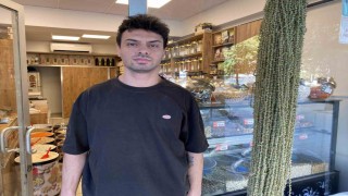 Kurutulmuş çiçek bamyanın altınla yarışan fiyatı düştü