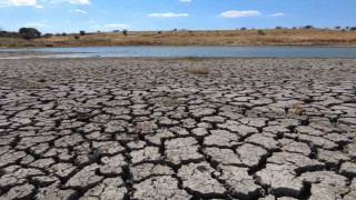 Kuruyan gölette derin çatlaklar oluştu