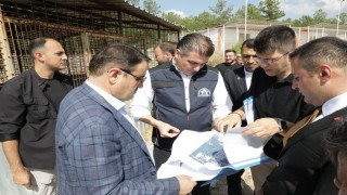 Kütahya Valisi Işın, Sahipsiz hayvanlara yönelik hizmetler toplumsal duyarlılığın bir göstergesidir