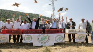 Kütahyada 300 keklik doğaya salındı