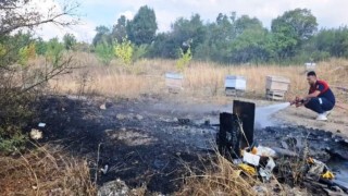 Kütahyada arazi yangınında 7 arı kovanı kül oldu