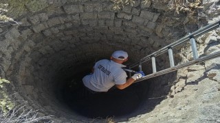 Kuyuya düşen tilki kurtarıldı