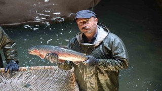 Laboratuvar değil alabalık üretim tesisi