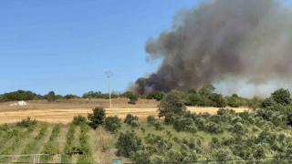 Lapsekideki orman yangınını söndürme çalışmaları sürüyor