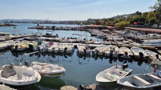 Limanda tatlı telaşe: Balıkçılar Lüfer ve palamuttan umutlu