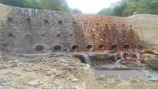 Maden atıkları dereyi kirletiyor, doğal yaşamı tehdit ediyor