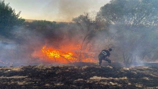 Malatyada anız yangınında 50 dönümlük arazi zarar gördü
