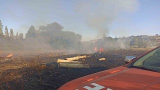 Malatyada bahçe yangını