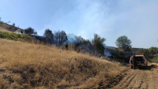 Malatyadaki orman yangını kontrol altına alındı