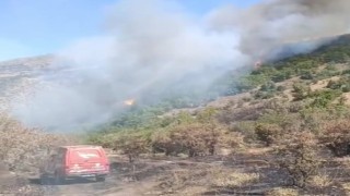 Malatyadaki orman yangını söndürüldü
