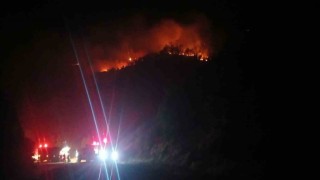 Malatyadaki orman yangını sürüyor