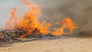 Malatyanın Doğanyol ilçesinde orman yangını