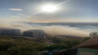 Maltepede geniş arazi yangını