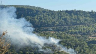 Manavgatta ormanlık alanda yangın