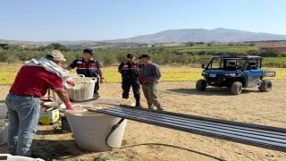 Manisa jandarmadan UTVli üzüm devriyesi