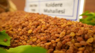 Manisada borsaya gelen yılın ilk kuru üzümü 3 bin 500 TLden alındı