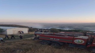 Manisada orman yangını