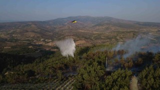 Manisadaki yangında 5 hektarlık kızılçam ormanı zarar gördü