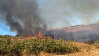Manyas Yeniköyde çıkan yangına ekiplerden ortak müdahale
