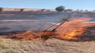 Mardinde çıkan ot yangını söndürüldü