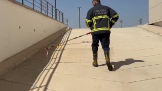 Mardinde diş hastanesine giren yılan ekiplerce doğaya salındı