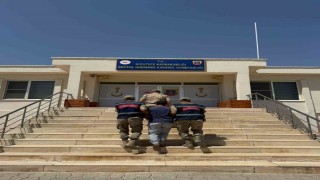 Mardinde hayvanlara ilişkin uygunsuz paylaşım yapan şahıs gözaltına alındı