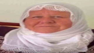 Mardinde otomobilin çarptığı kadın hayatını kaybetti