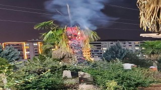 Mardinde palmiye ağacı ateşe verildi