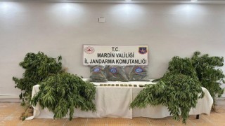 Mardinde uyuşturucu operasyonu: 1 tutuklama