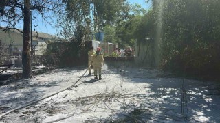 Marmaris Hisarönünde çıkan yangın kısa sürede söndürüldü