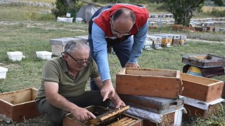Masat köyünde bal hasadı değerlendirildi