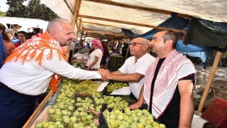 Menemende Bozalan İncir Festivali heyecanı yaşanacak