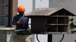Menteşede güvercin yuvalarında temizlik yapıldı