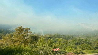 Mersin Anamurdaki orman yangını sürüyor, ekipler havadan ve karadan müdahale ediyor