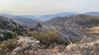 Mersin Silifkede yangın büyük ölçüde kontrol altına alındı