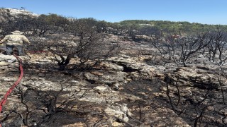 Mersin Silifkede yangın ormanı sarmadan söndürüldü